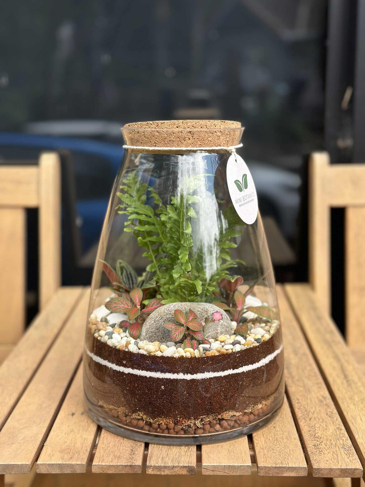 Forest Terrarium - Tall