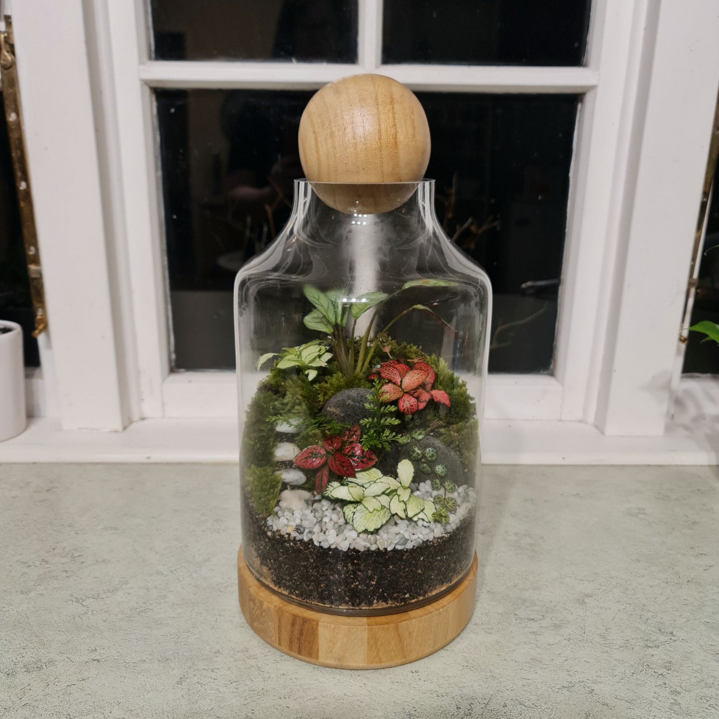 Wood Ball Terrarium Tall
