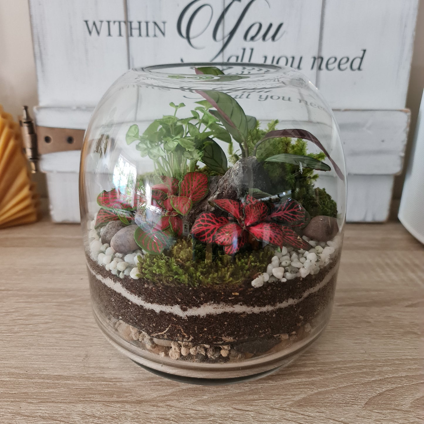Botanical Terrarium Vessel 18.8x20cm