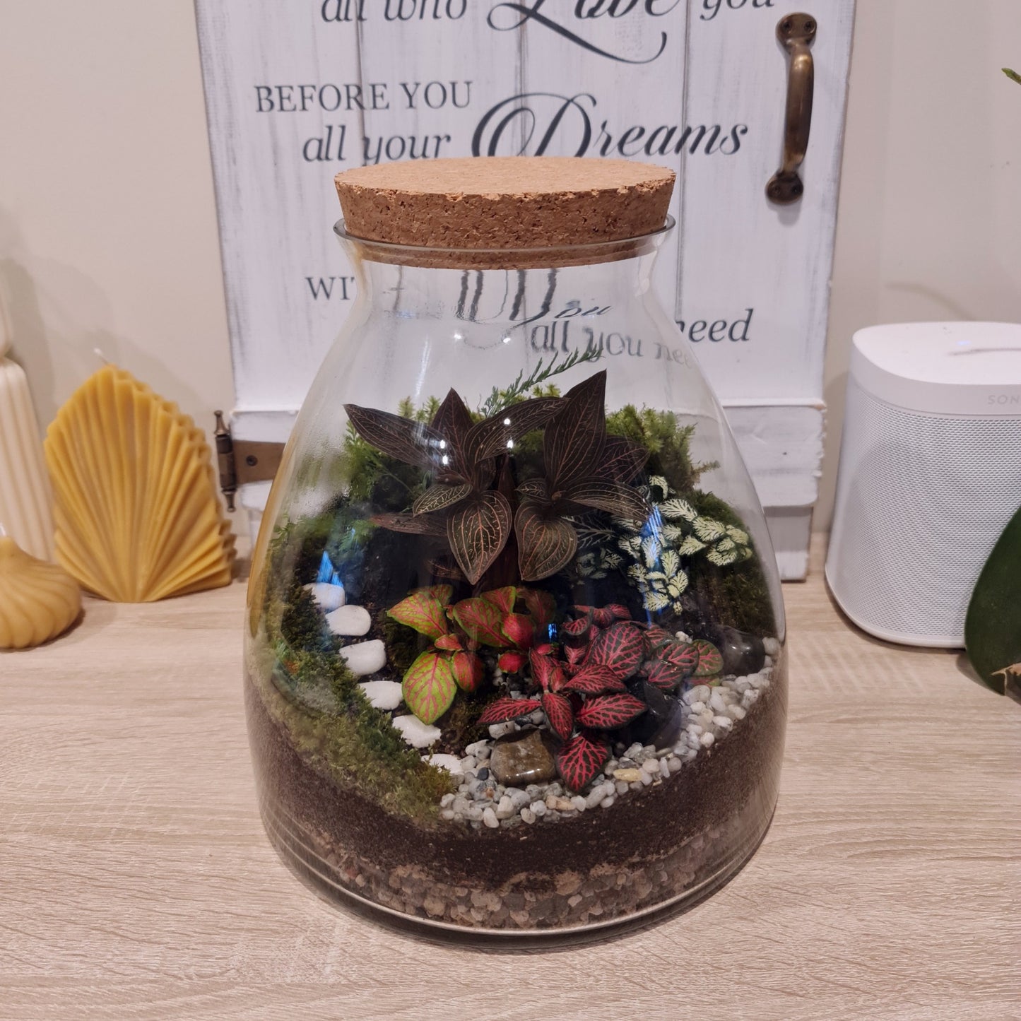 Forest Terrarium - Large