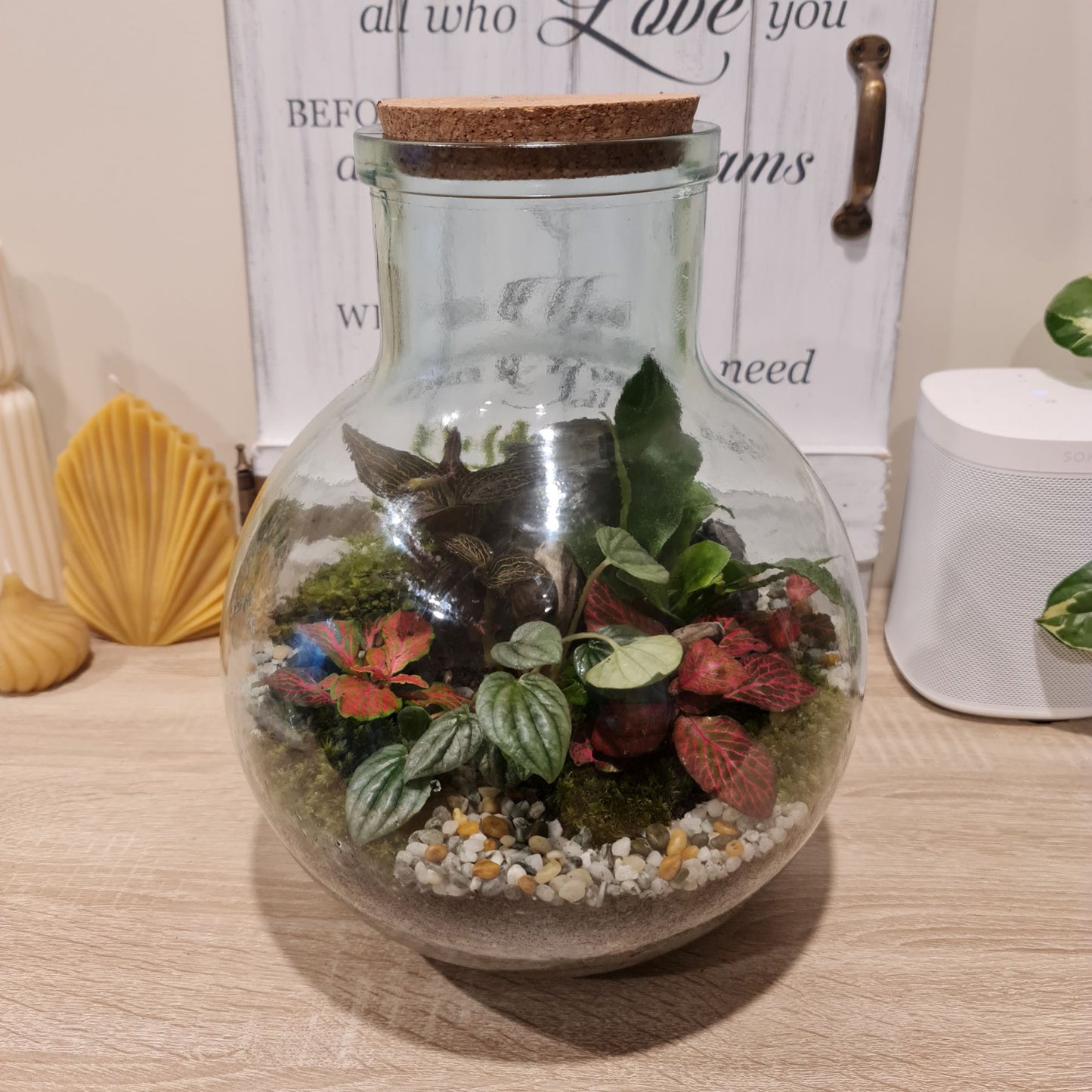 ECO Recycled Servilla Terrarium Vessel with Tools - 31cm
