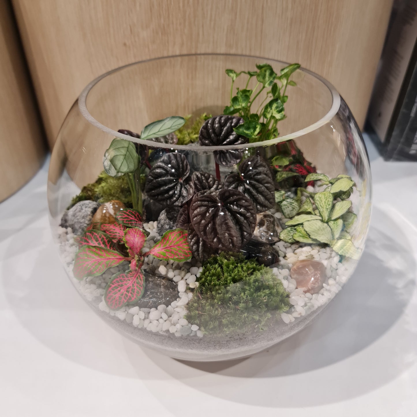 Bowl Terrarium XL