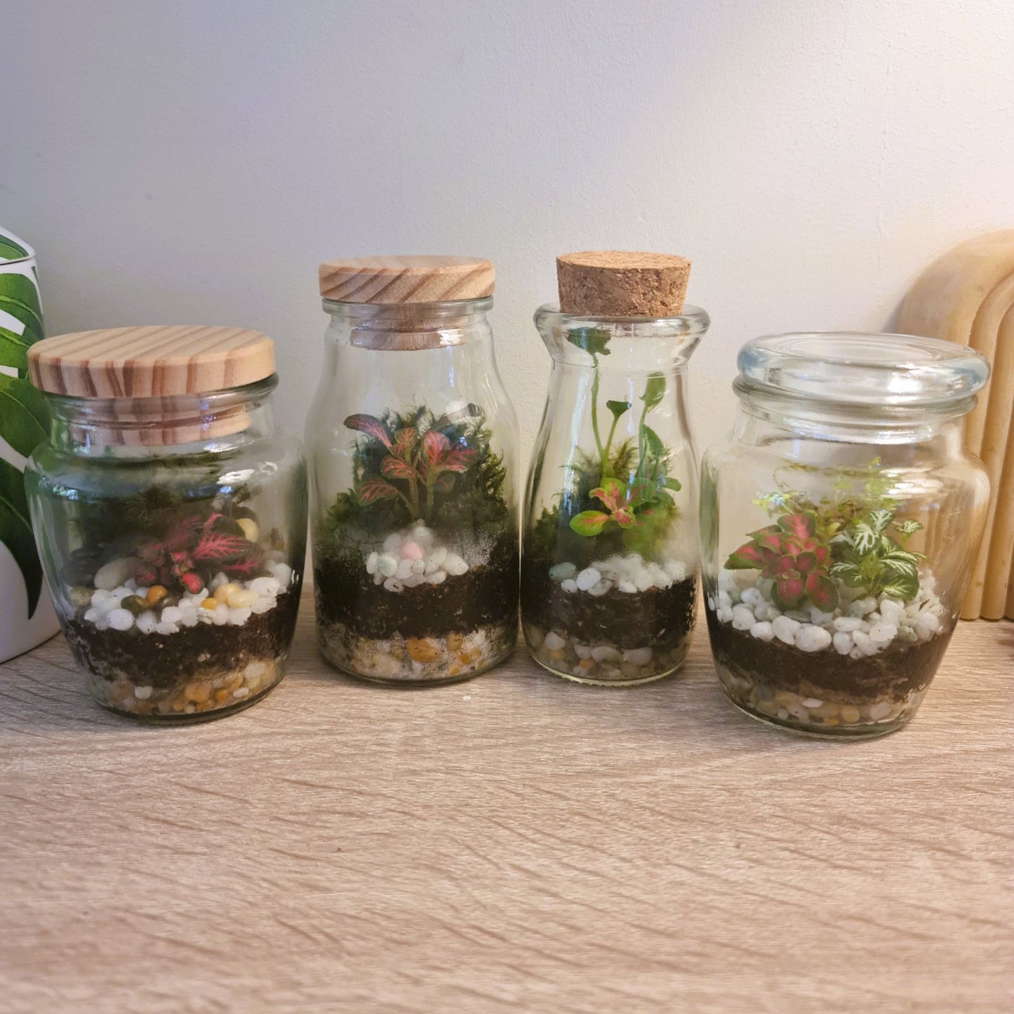Teeny Weeny Terrarium