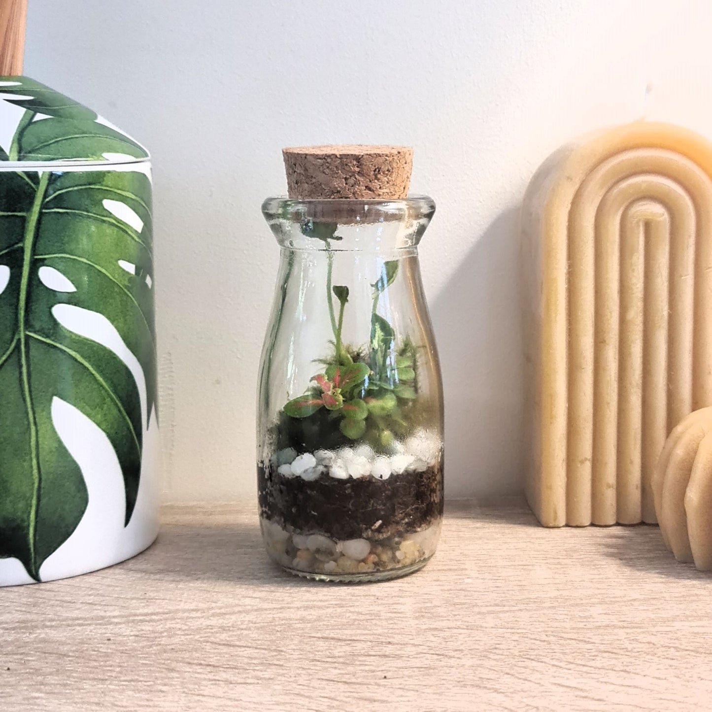 Teeny Weeny Terrarium