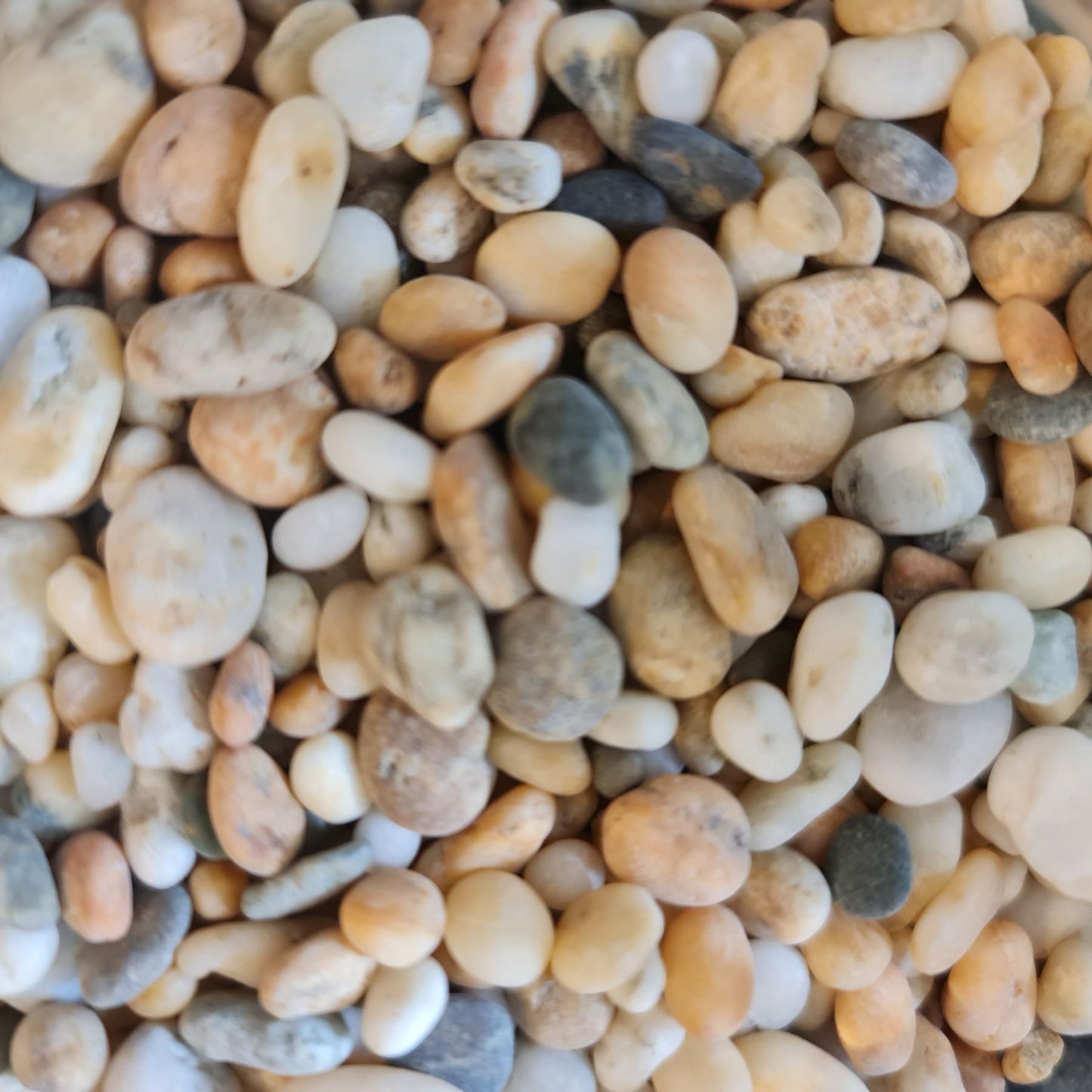 DIY Kit for XLarge Closed Terrarium