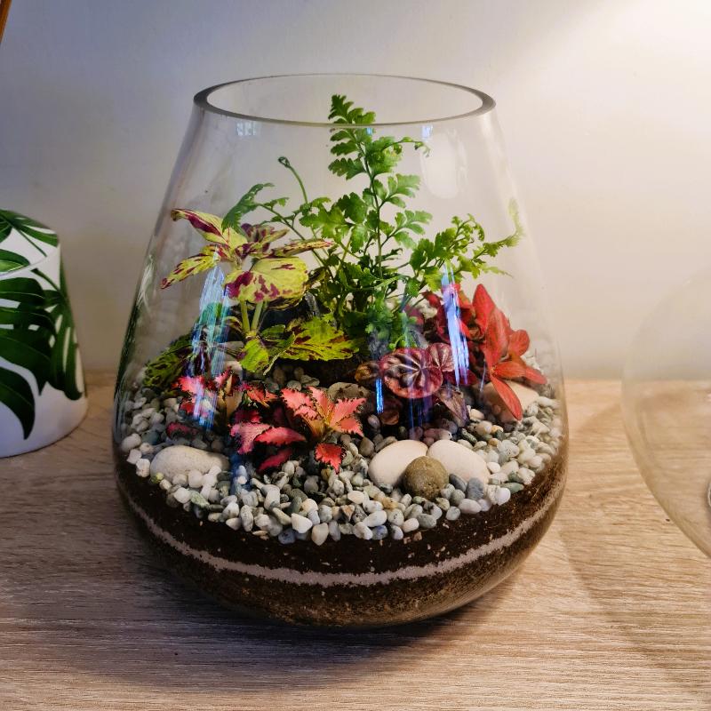 Tapered Terrarium