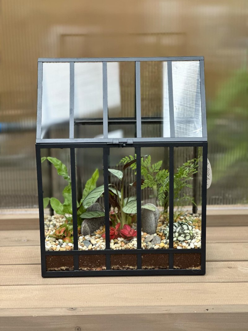 indoor plant glass house Glass House Large Terrarium – Mini Botanics