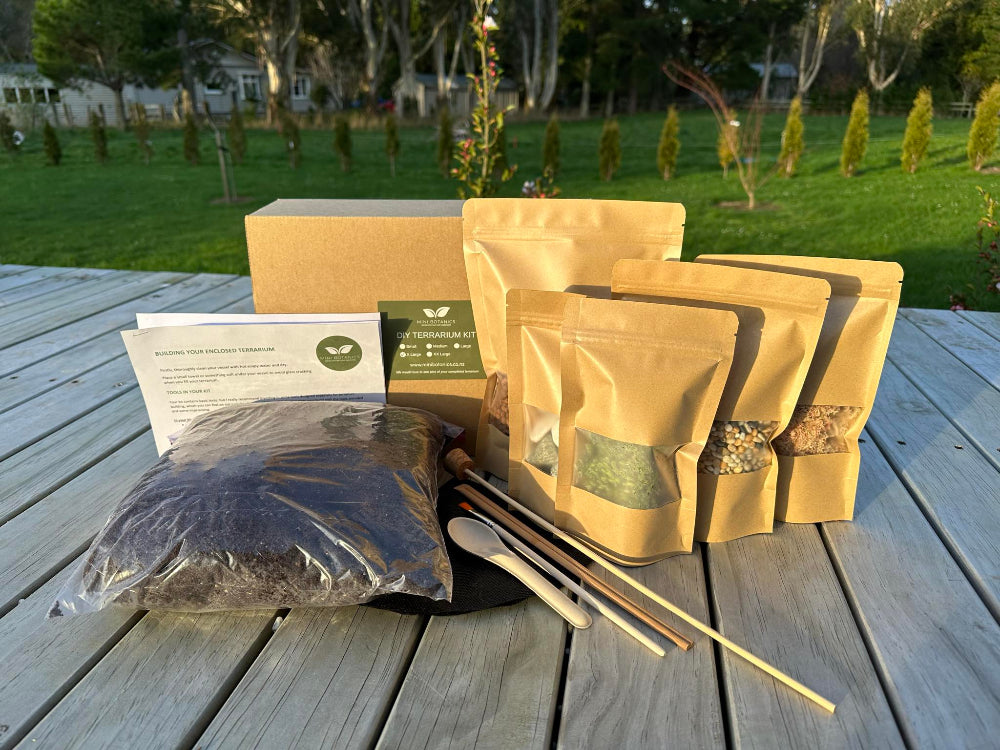 DIY Kit for Large Closed Terrarium