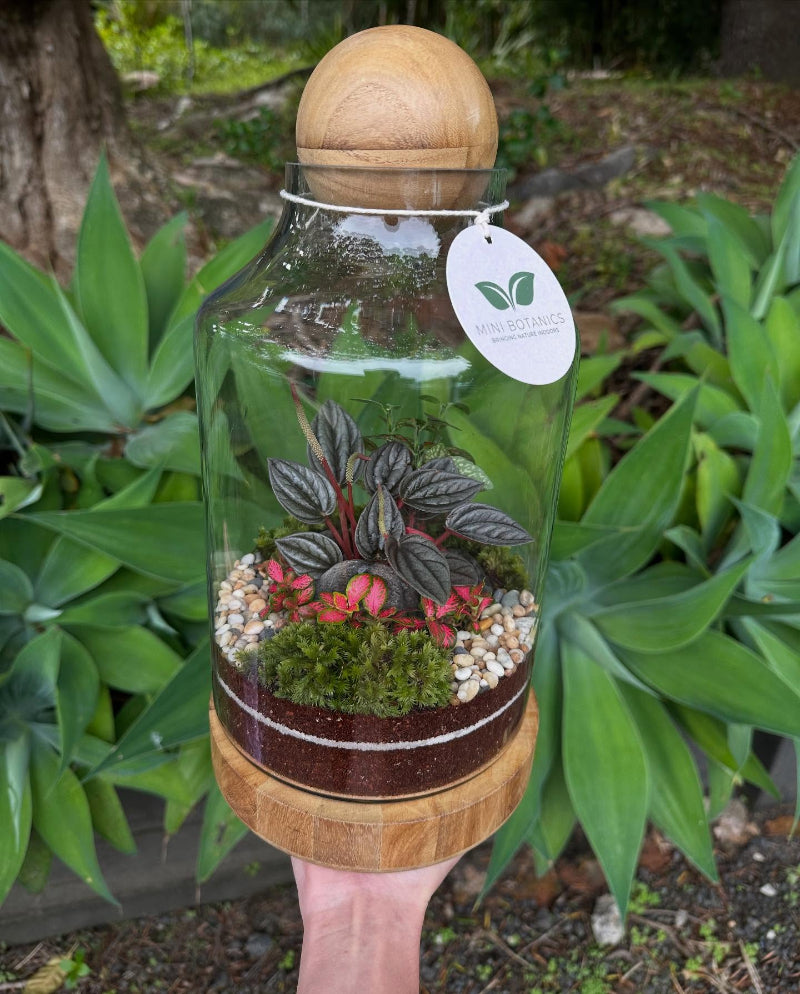 Wood Ball Terrarium Tall