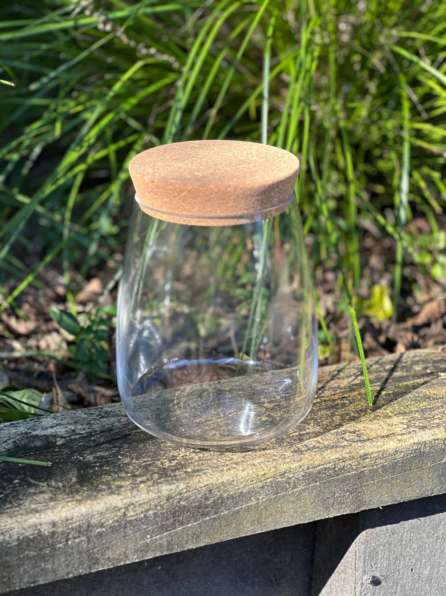 Medium Cork Terrarium Vessel
