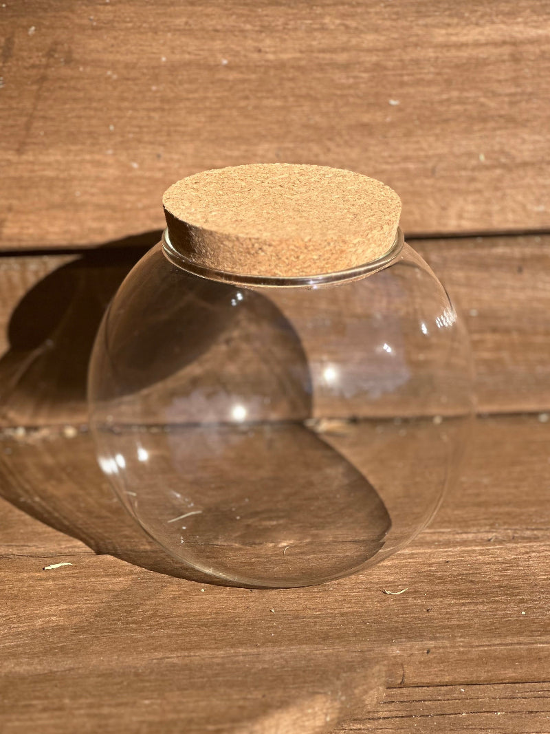 Round Cork Terrarium