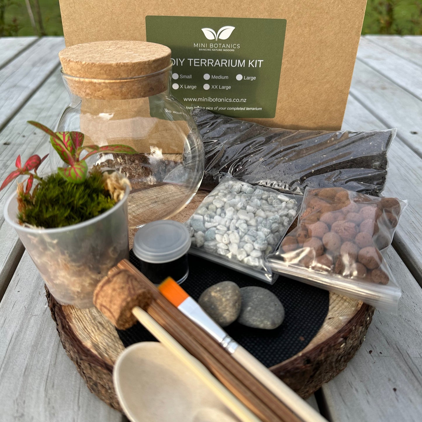 DIY Kit Mini Terrarium