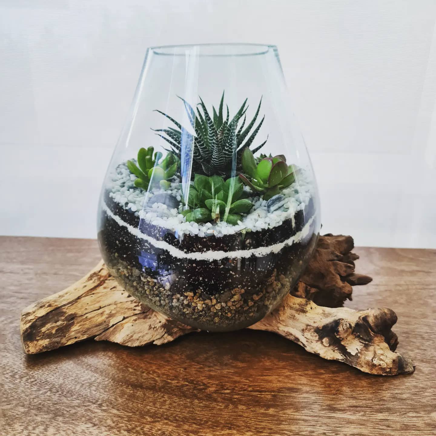 Teak Root Terrarium Vessel -25cm