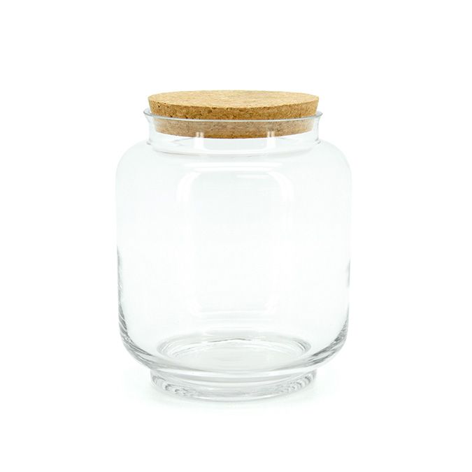 Nature's Window Terrarium Vessel