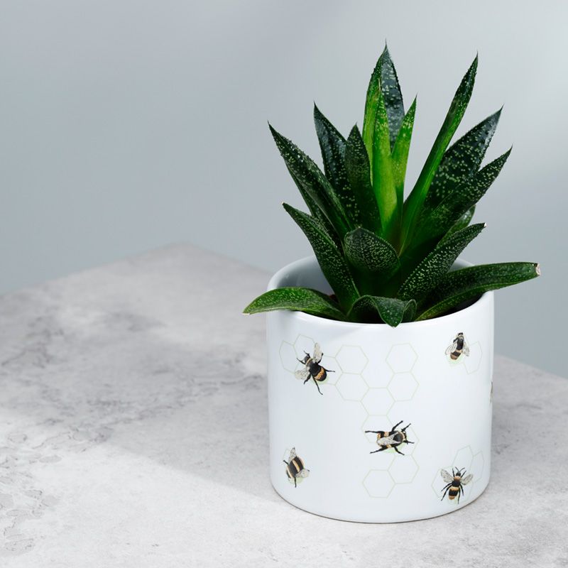 Nectar Meadows Bee Planter Small
