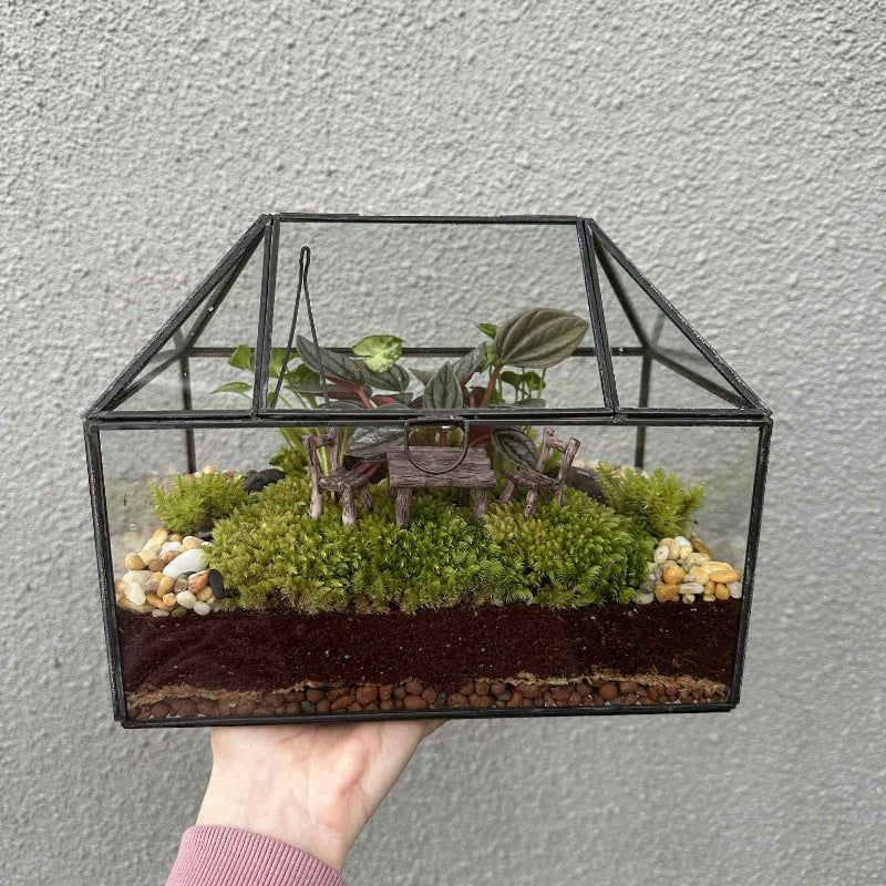 Glass House Small Terrarium