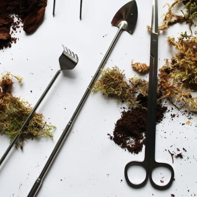 Terrarium Scissors
