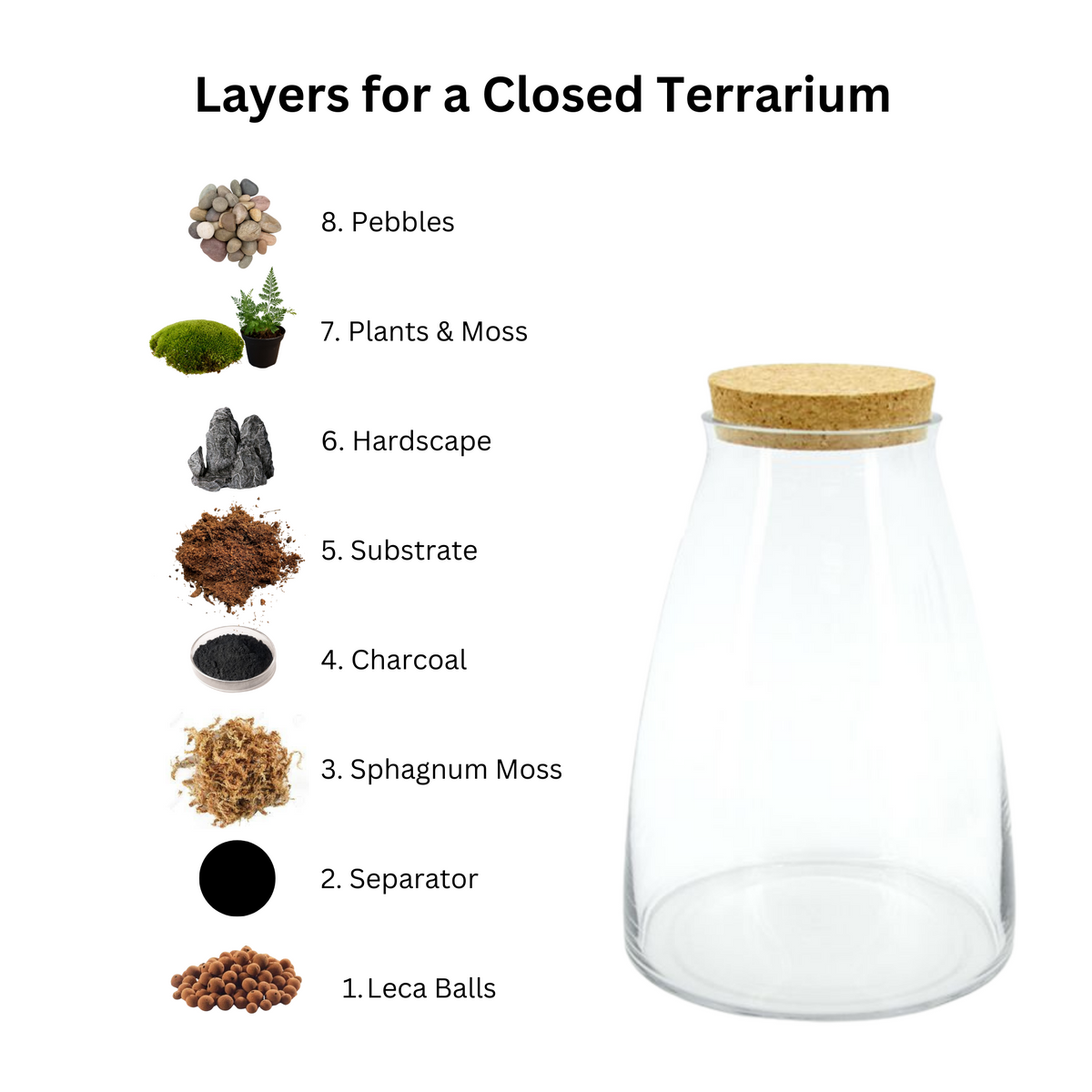 The Art of Creating Terrarium Layers – Mini Botanics