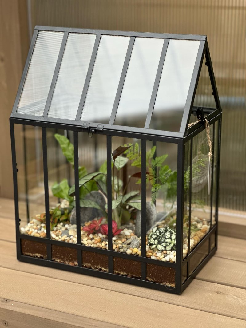 Glass House Large Terrarium