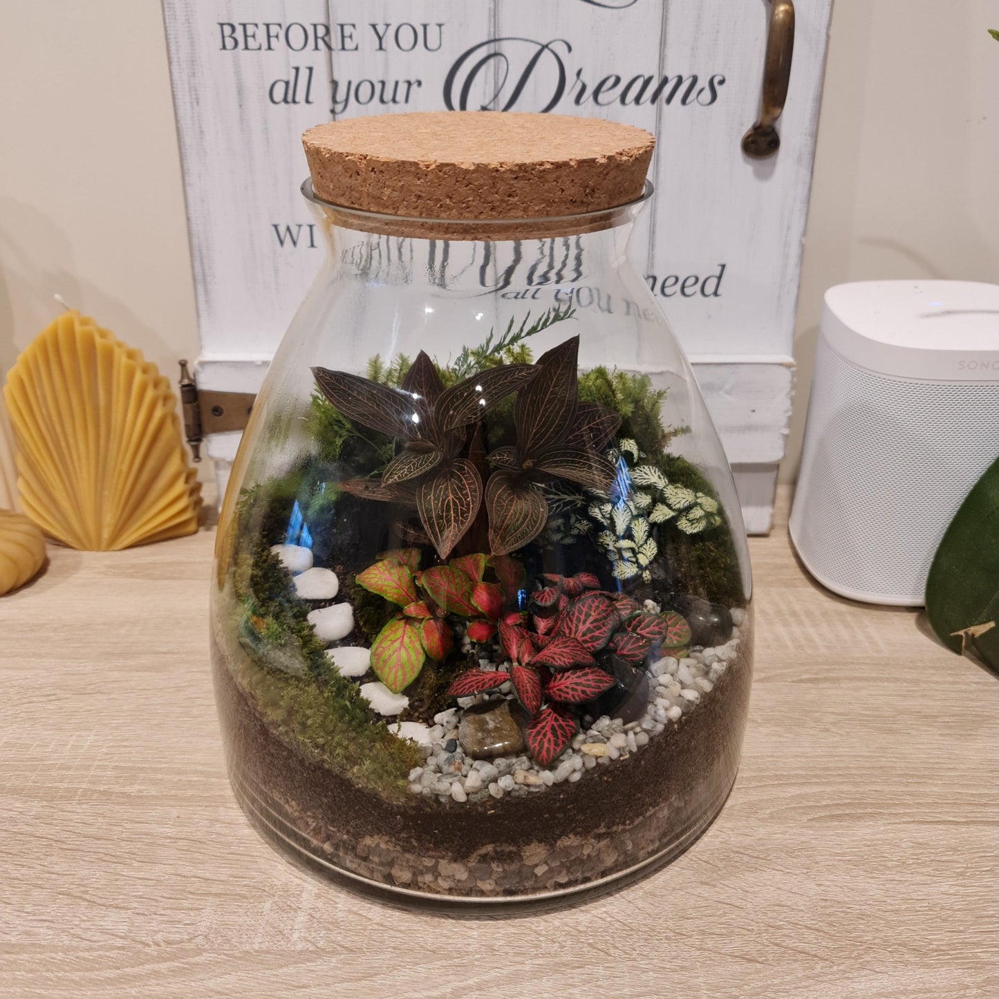 Forest Terrarium Vessel Large