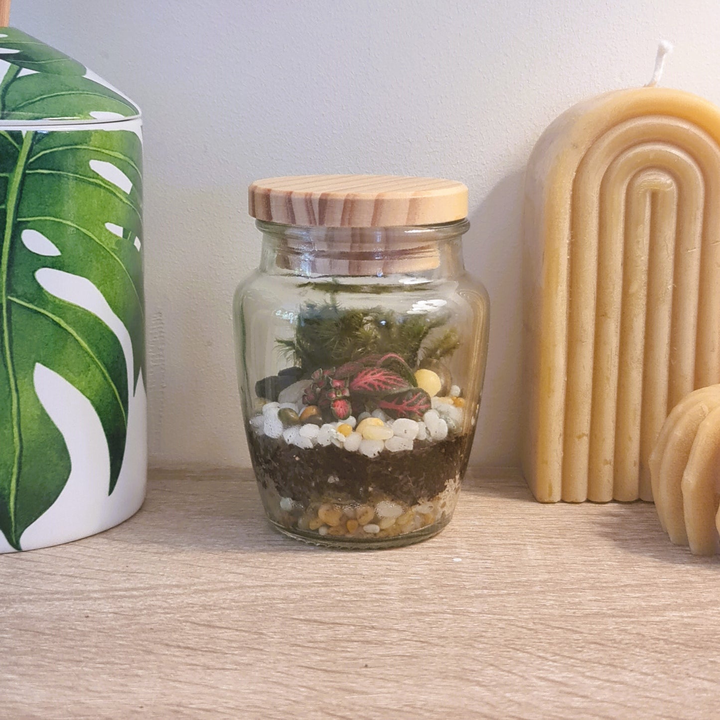 DIY Kit for Teeny Weeny Terrarium