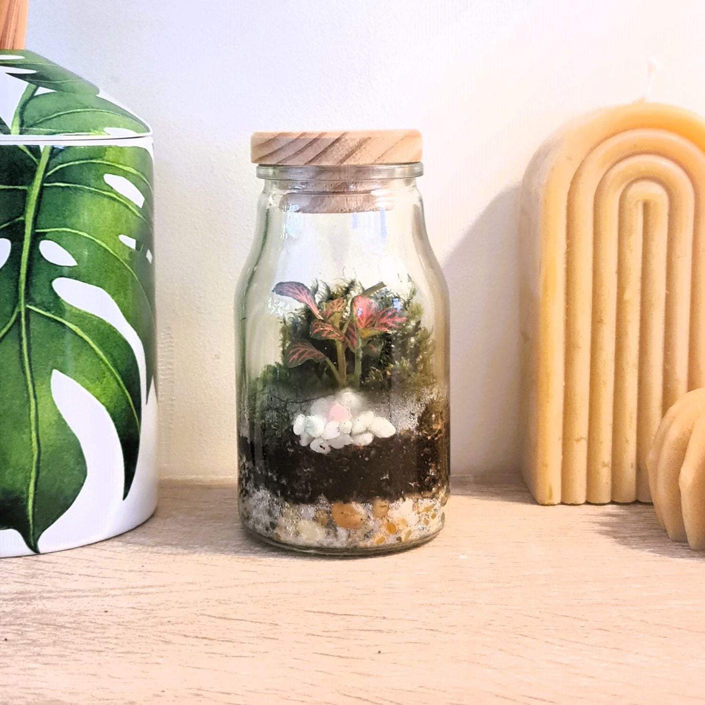 DIY Kit for Teeny Weeny Terrarium