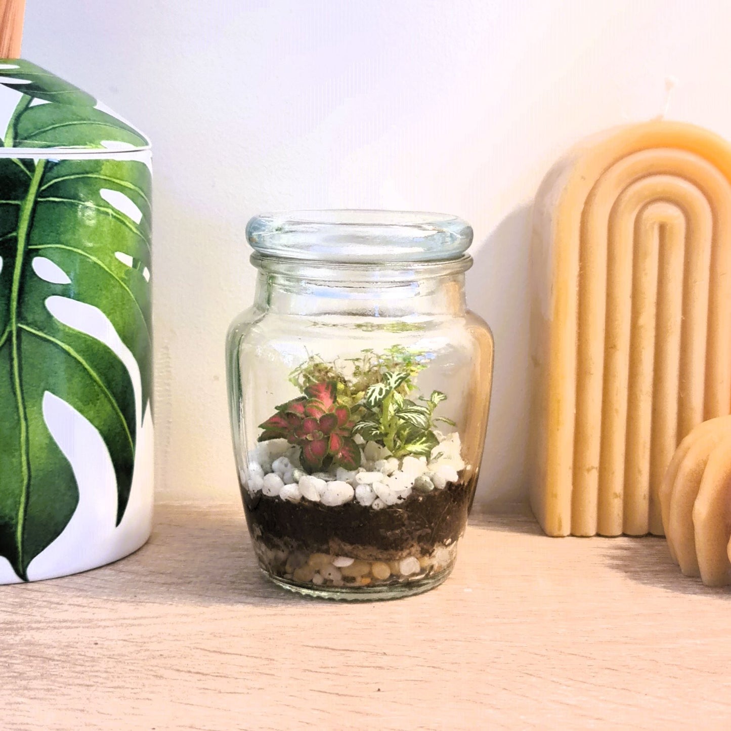 DIY Kit for Teeny Weeny Terrarium