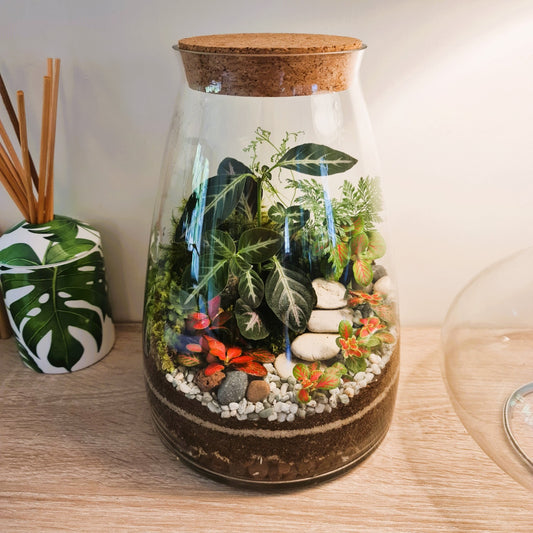 Forest Terrarium - Tall