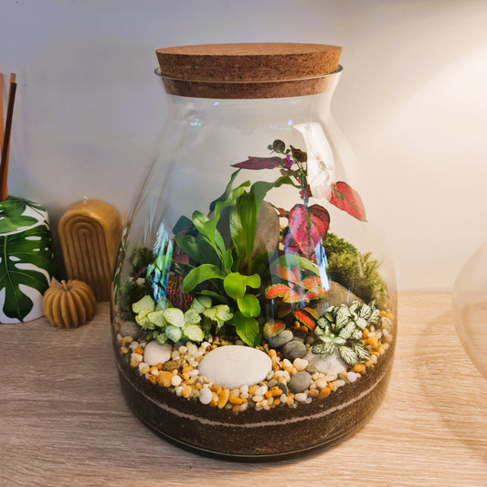 Forest Terrarium - Large