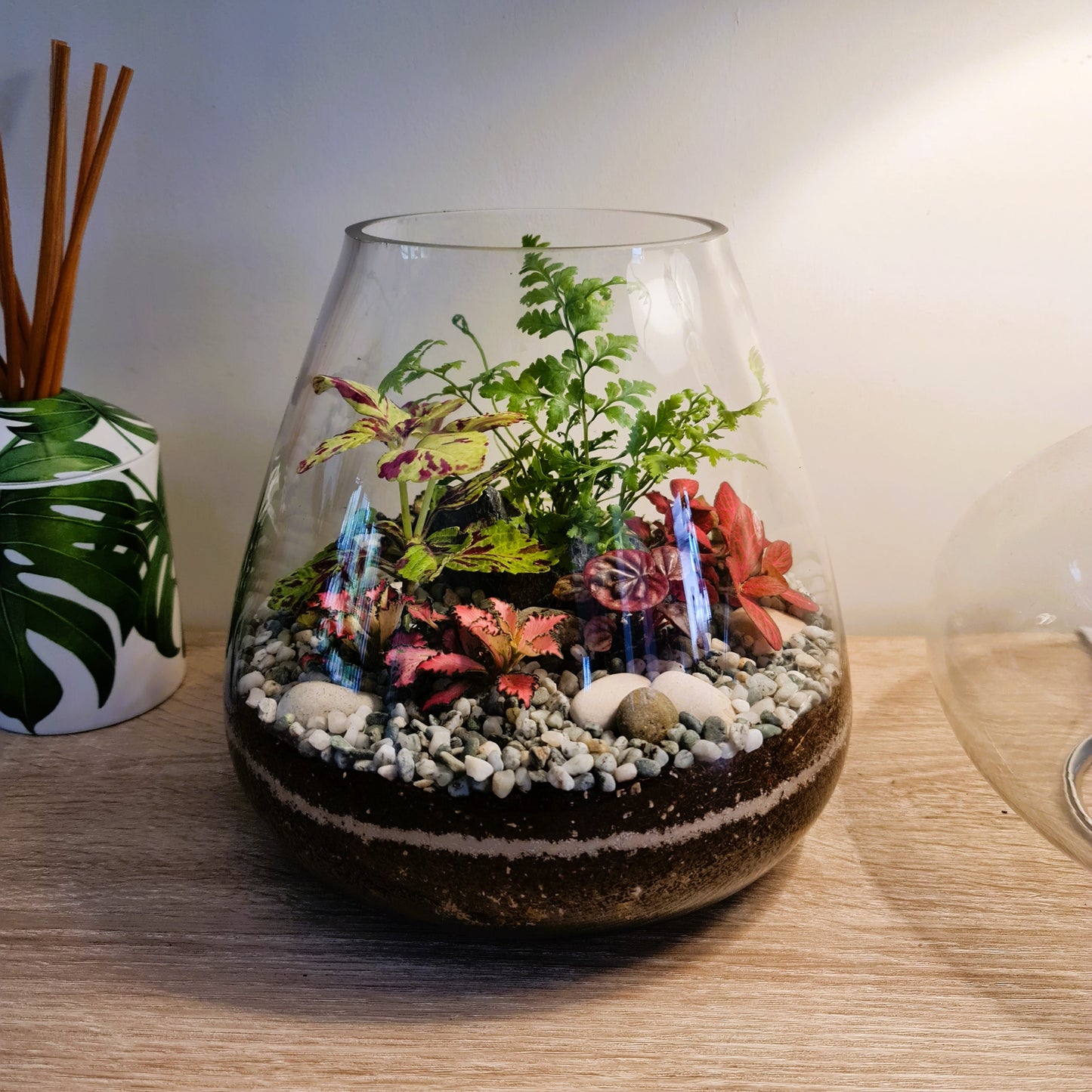 Tapered Terrarium