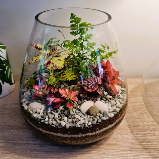 Tapered Terrarium
