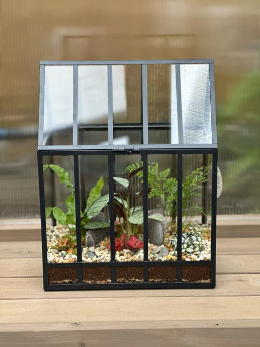 Glass House Large Terrarium