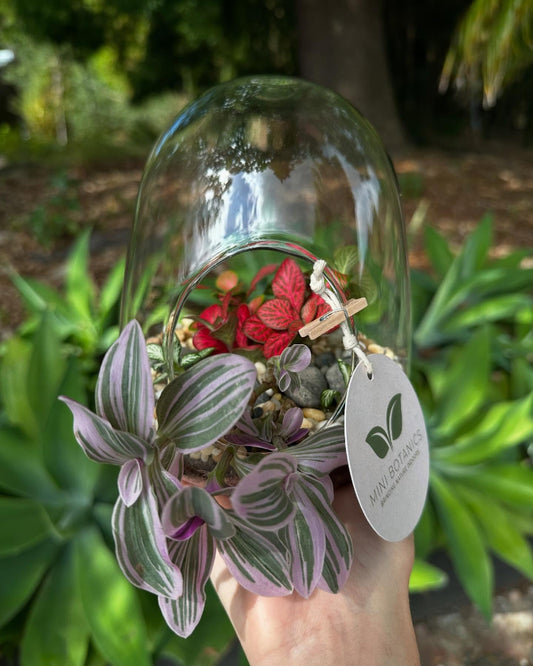 Open Egg Terrarium Large