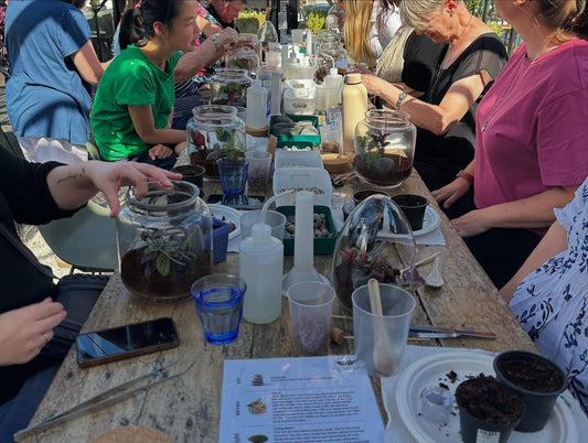Terrarium Workshop Saturday 21 November
