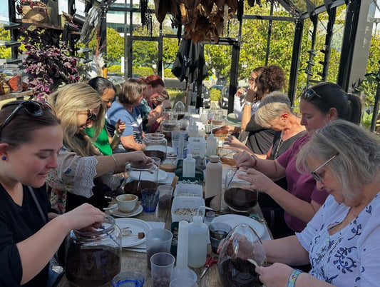 Terrarium Workshop Sunday 13 July 2025