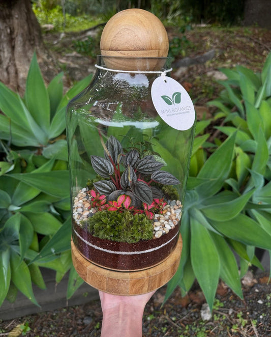 Wood Ball Terrarium Tall