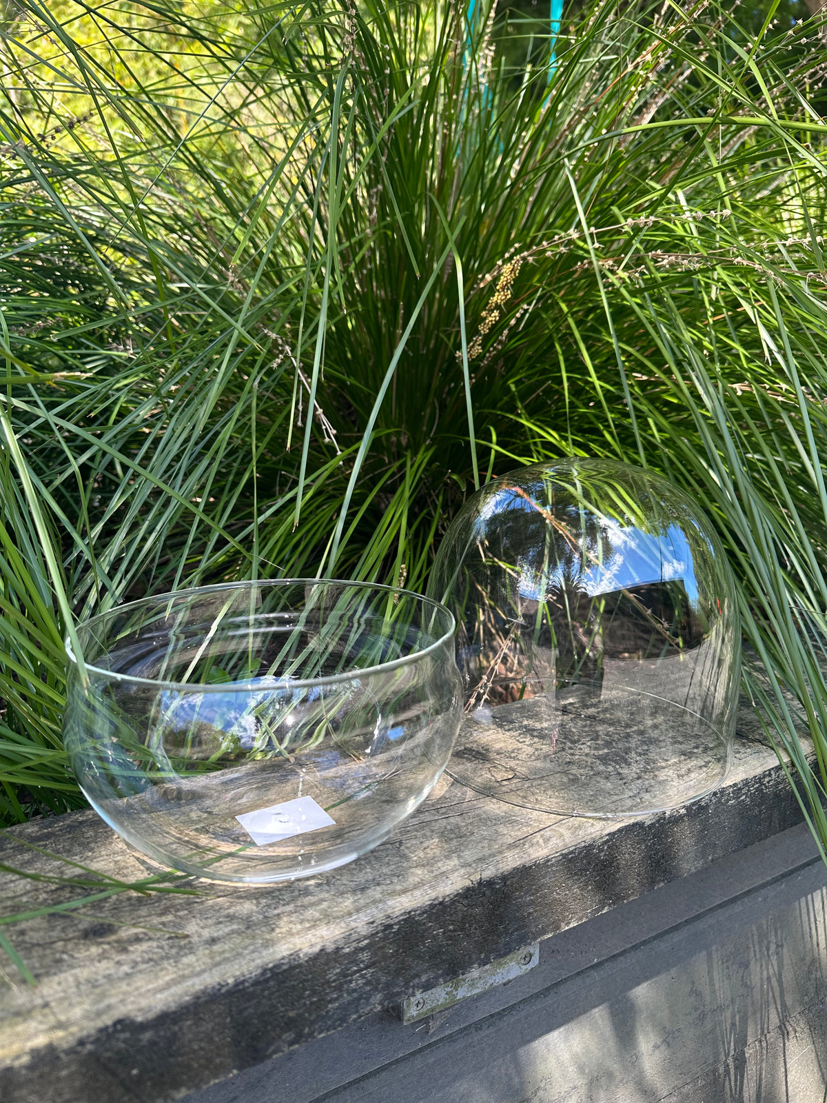 Closed Egg Terrarium Vessel