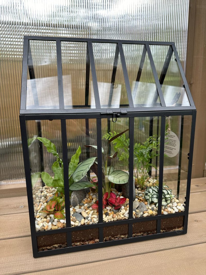 Glass House Large Terrarium