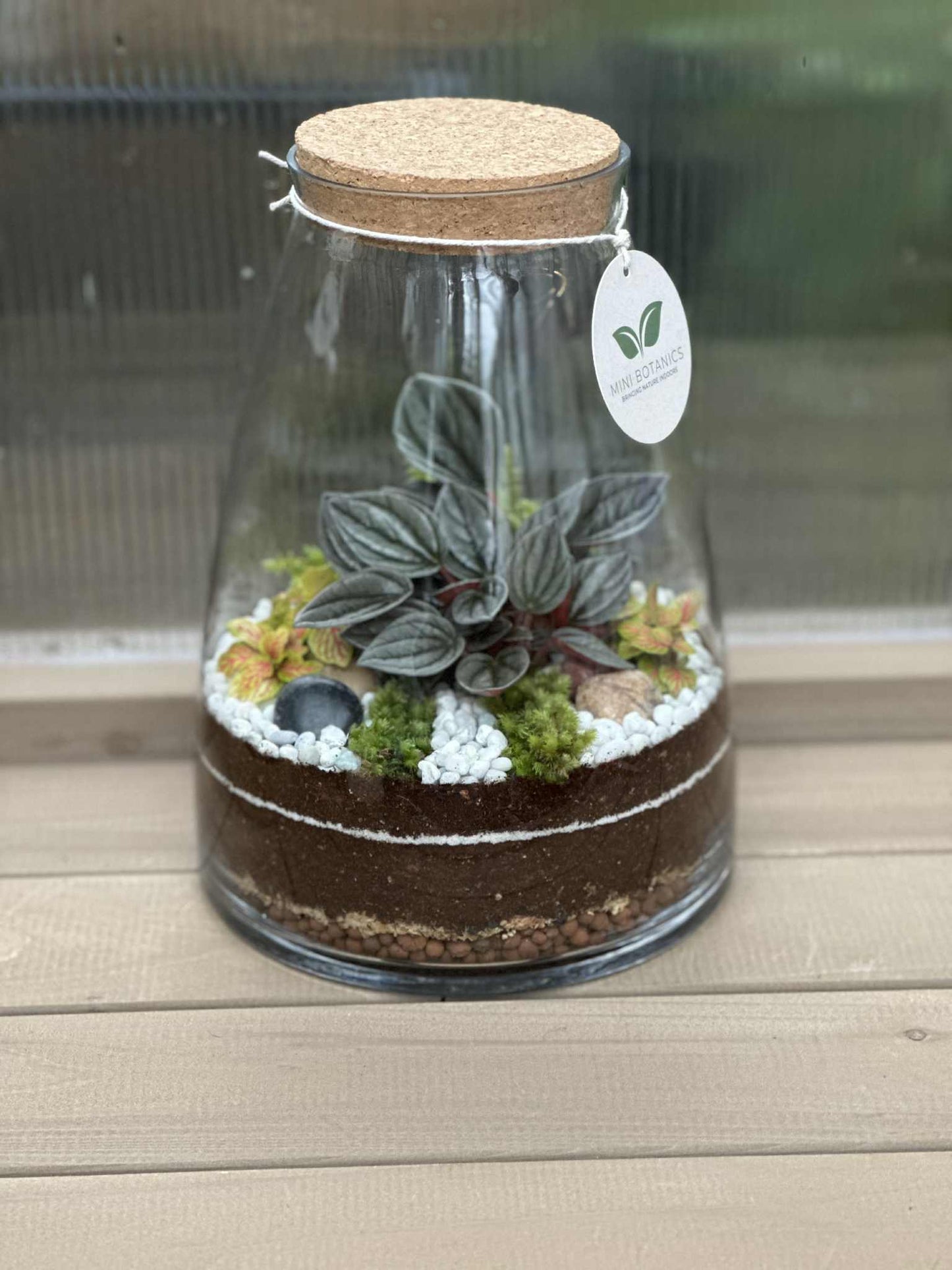 Terrarium Workshop Sunday 28 September 2025