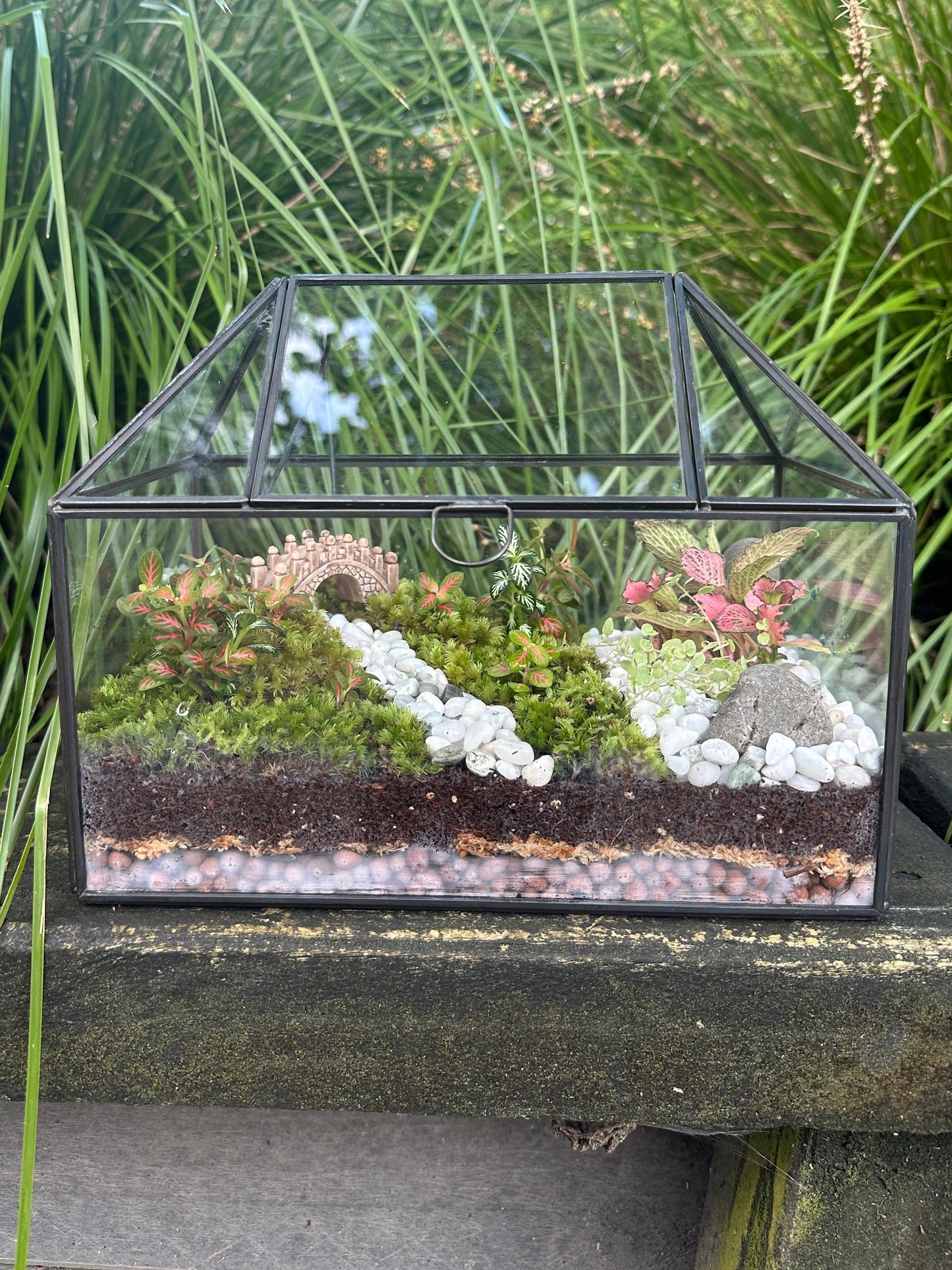 Glass House Small Terrarium