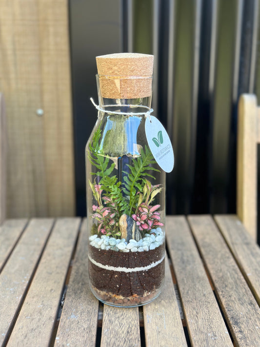 Bottle Terrarium