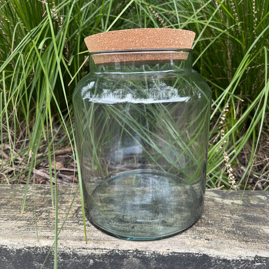 Garden Terrarium Vessel