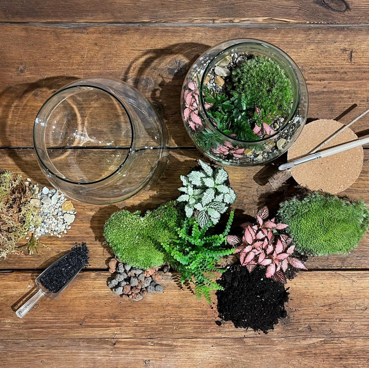Minibotanics – Mini Botanics