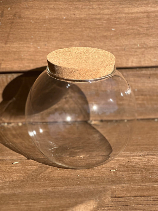 Round Cork Terrarium Vessel