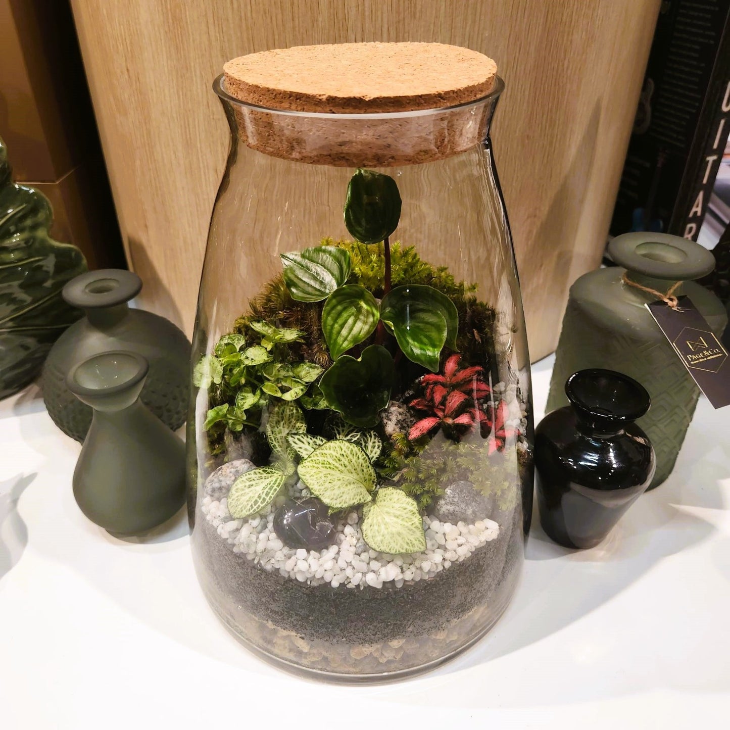 Forest Terrarium - Tall