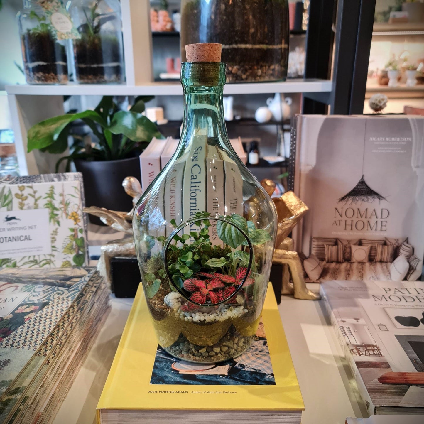 Green Bottle Terrarium 5L