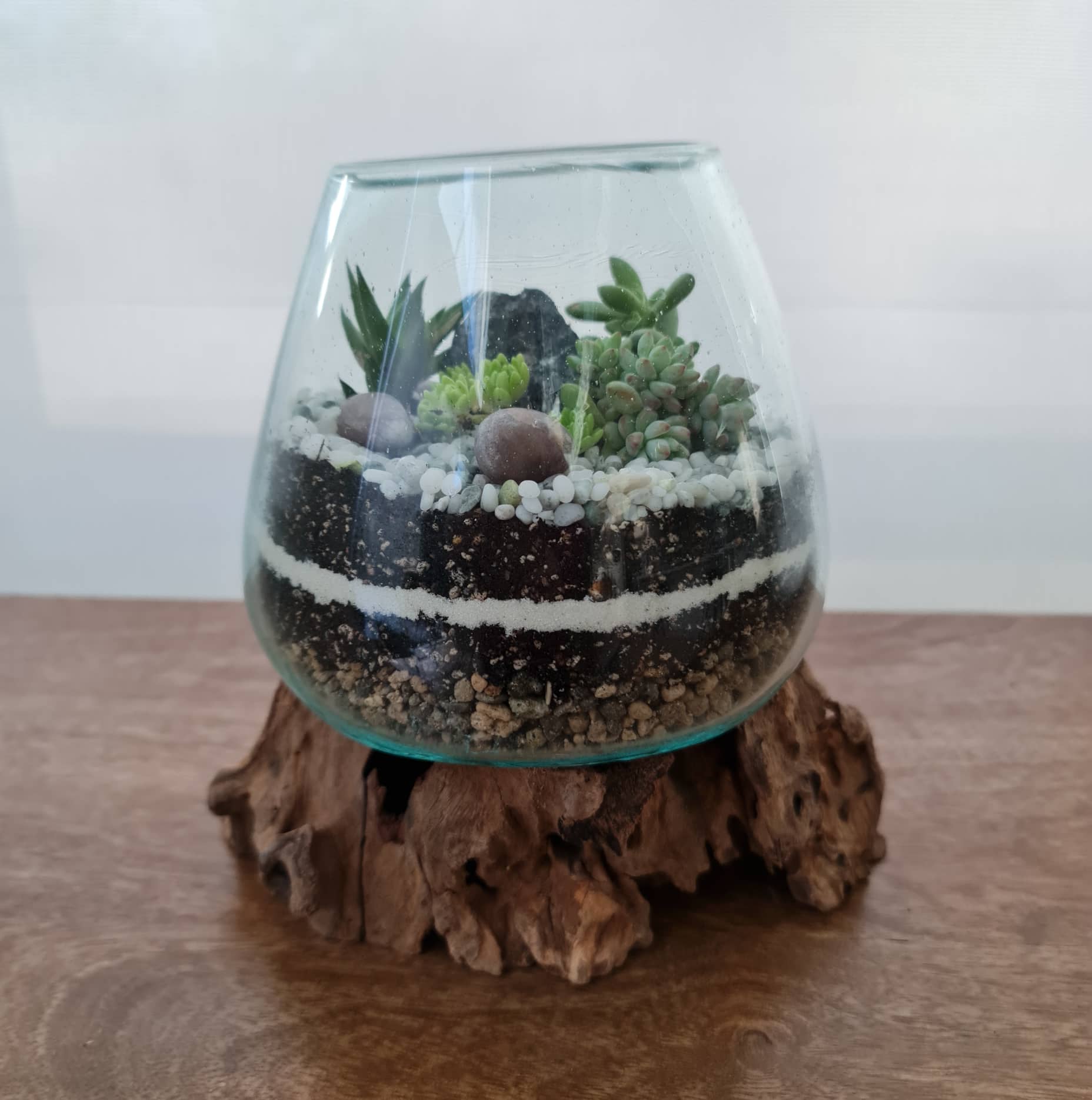 Handblown Molten Glass Terrarium on Reclaimed Teak Root 15cm Mini