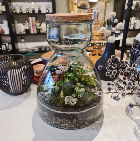 XL Valencia Terrarium 34cm