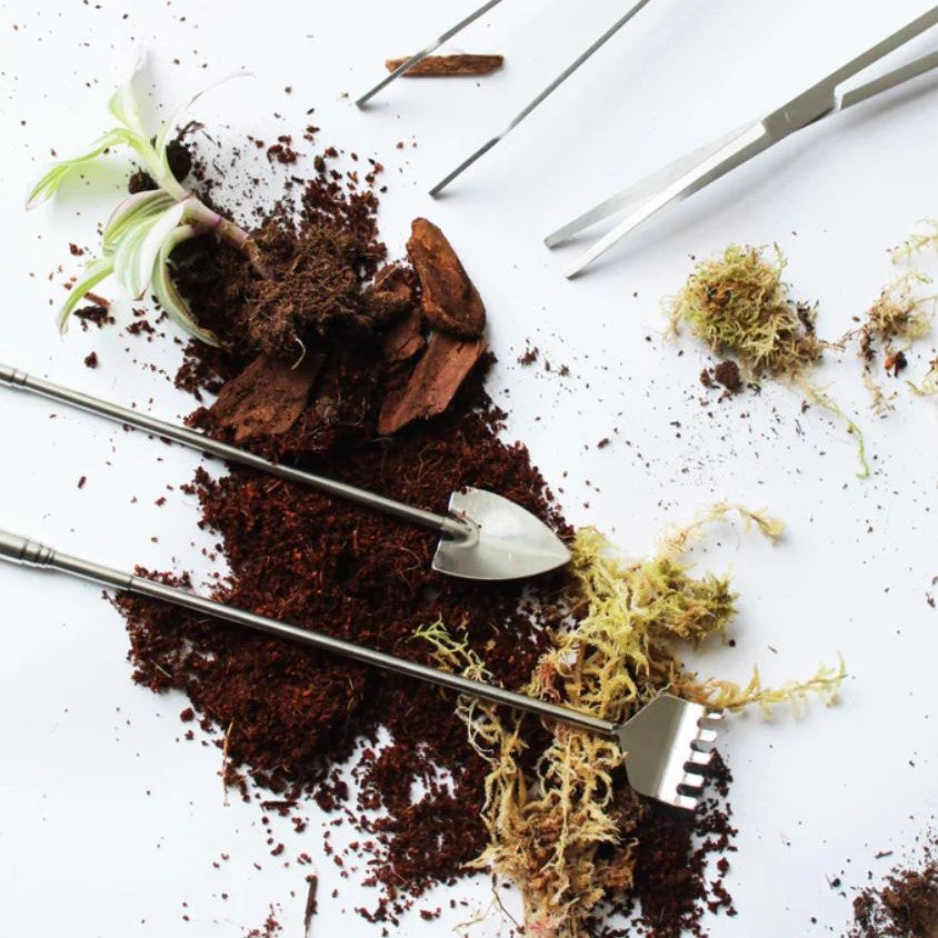 Terrarium Telescopic Tool Set