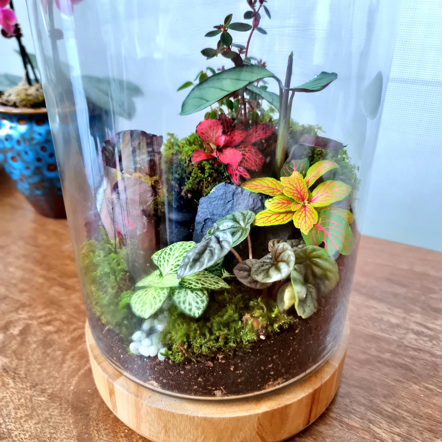 Wood Ball Terrarium Tall
